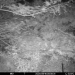 Sep 18 2025  3:00:31, #01