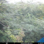 Sep 18 2025  6:00:31, #01
