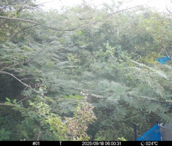 Sep 18 2025  6:00:31, #01
