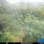 Sep 18 2025  9:00:31, #01