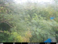 Sep 18 2025  9:00:31, #01