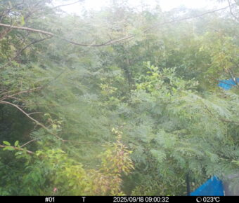 Sep 18 2025  9:00:31, #01
