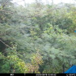 Sep 18 2025 12:00:32, #01