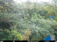 Sep 18 2025 12:00:32, #01
