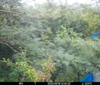 Sep 18 2025 12:00:32, #01