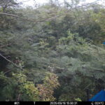 Sep 18 2025 15:00:31, #01