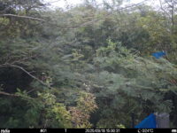 Sep 18 2025 15:00:31, #01