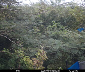 Sep 18 2025 15:00:31, #01