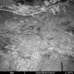 Sep 18 2025 21:00:31, #01