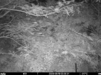 Sep 19 2025  3:00:31, #01