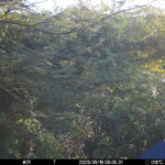 Sep 19 2025  6:00:31, #01