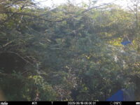 Sep 19 2025  6:00:31, #01