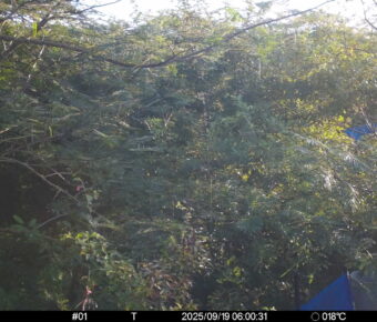 Sep 19 2025  6:00:31, #01