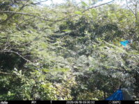 Sep 19 2025  9:00:32, #01