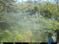 Sep 19 2025 12:00:32, #01