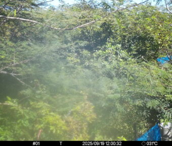 Sep 19 2025 12:00:32, #01