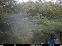 Sep 19 2025 15:00:32, #01