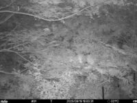 Sep 19 2025 18:00:30, #01