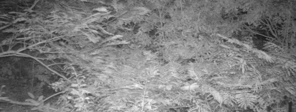 Sep 19 2025 21:00:32, #01