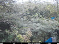 Sep 20 2025  6:00:32, #01