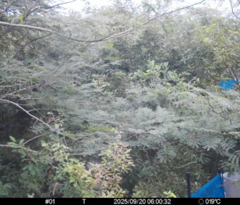 Sep 20 2025  6:00:32, #01