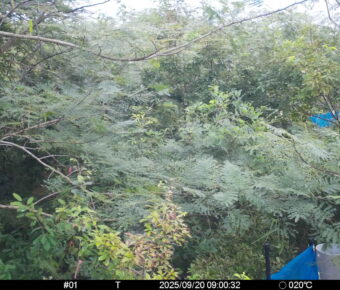 Sep 20 2025  9:00:31, #01