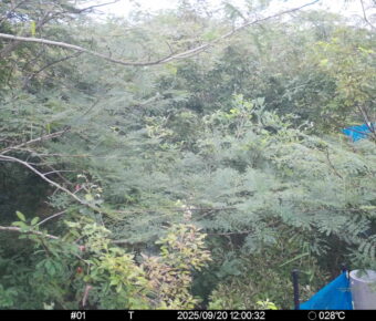 Sep 20 2025 12:00:32, #01