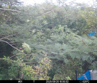 Sep 20 2025 15:00:32, #01