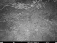 Sep 21 2025  0:00:31, #01