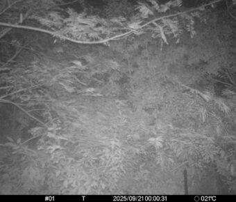Sep 21 2025  0:00:31, #01