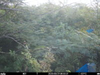 Sep 21 2025  6:00:31, #01