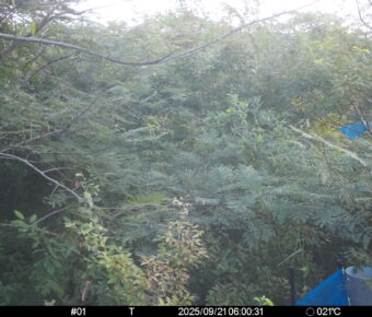 Sep 21 2025  6:00:31, #01
