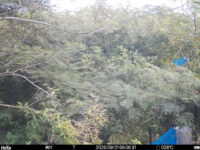 Sep 21 2025  9:00:31, #01