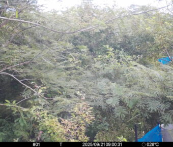 Sep 21 2025  9:00:31, #01