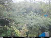 Sep 21 2025 12:00:32, #01