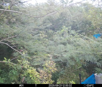 Sep 21 2025 12:00:32, #01