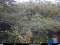 Sep 21 2025 15:00:31, #01