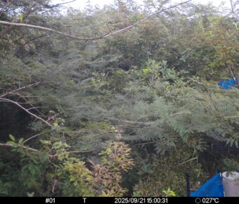Sep 21 2025 15:00:31, #01