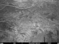 Sep 21 2025 18:00:30, #01