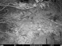 Sep 21 2025 21:00:32, #01