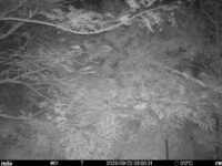 Sep 22 2025  3:00:30, #01