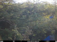 Sep 22 2025  6:00:31, #01