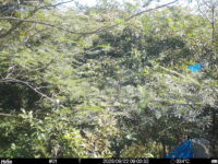 Sep 22 2025  9:00:31, #01