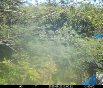 Sep 22 2025 12:00:32, #01