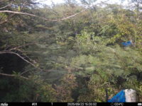 Sep 22 2025 15:00:32, #01