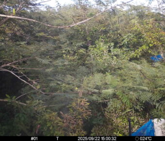 Sep 22 2025 15:00:32, #01