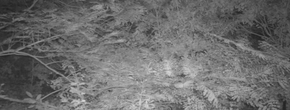 Sep 22 2025 18:00:30, #01