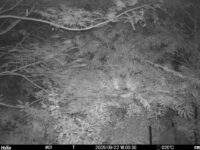 Sep 22 2025 18:00:30, #01