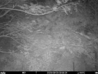 Sep 23 2025  0:00:31, #01