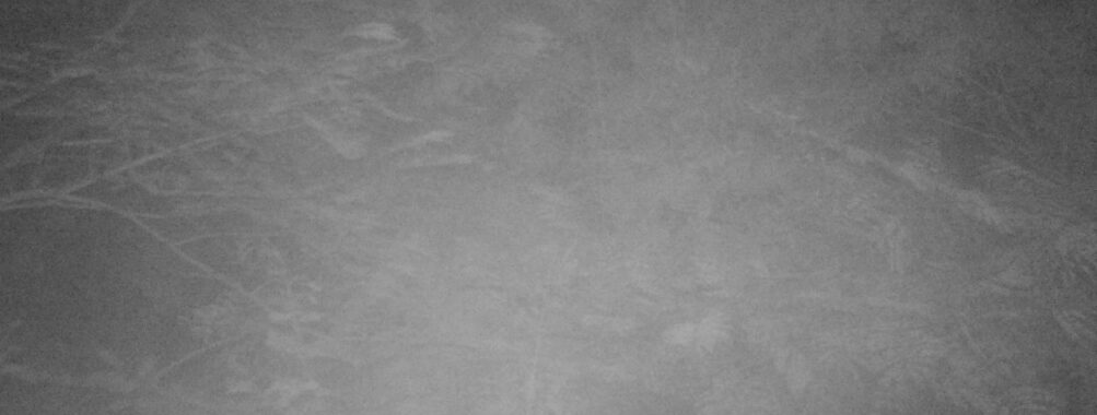 Sep 23 2025  3:00:30, #01